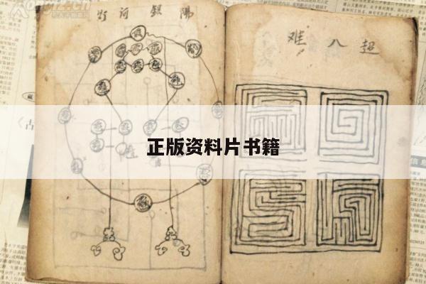 正版资料片书籍