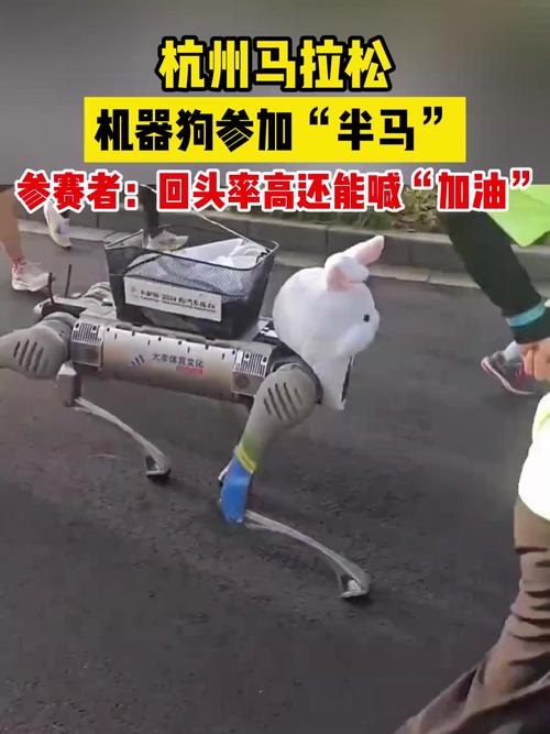 租机器狗日赚五千,机器狗租赁