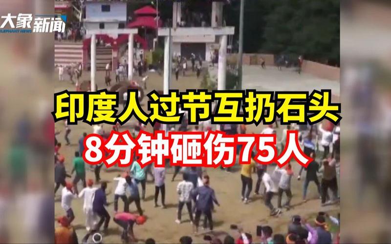 猩猩扔石块砸伤游客,猩猩扔石块砸伤游客视频