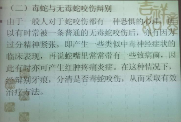 女子放羊休息被蛇咬,女子放羊休息被蛇咬视频