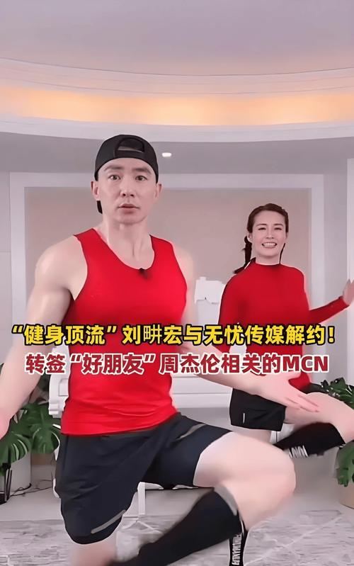 刘畊宏9天掉粉23万,刘畊宏经历