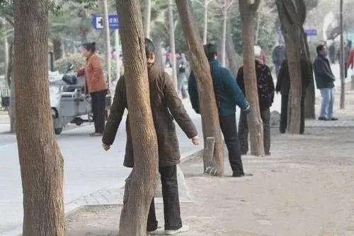 撞树锻炼致椎体坏死,撞树锻炼致椎体坏死能恢复吗