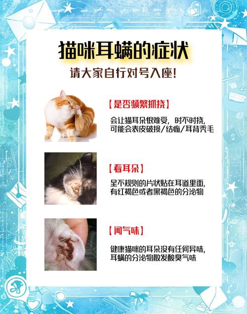 耳中取出活体猫螨虫,耳中取出活体猫螨虫怎么办