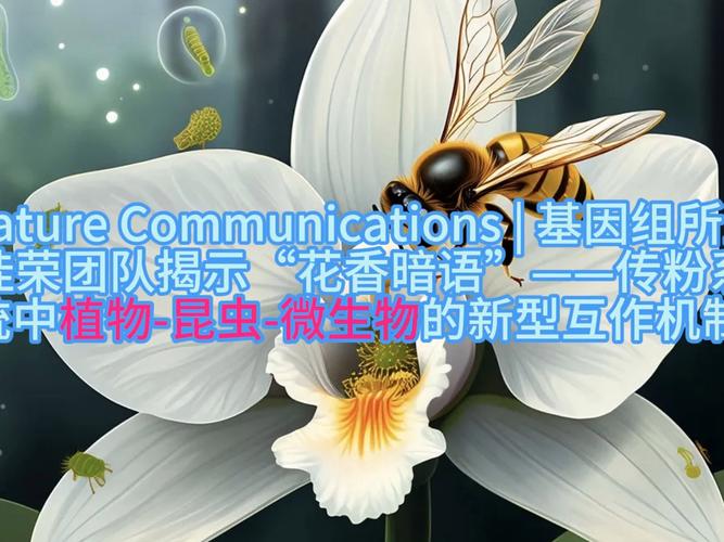 发现微生物新物种,发现微生物新物种的意义